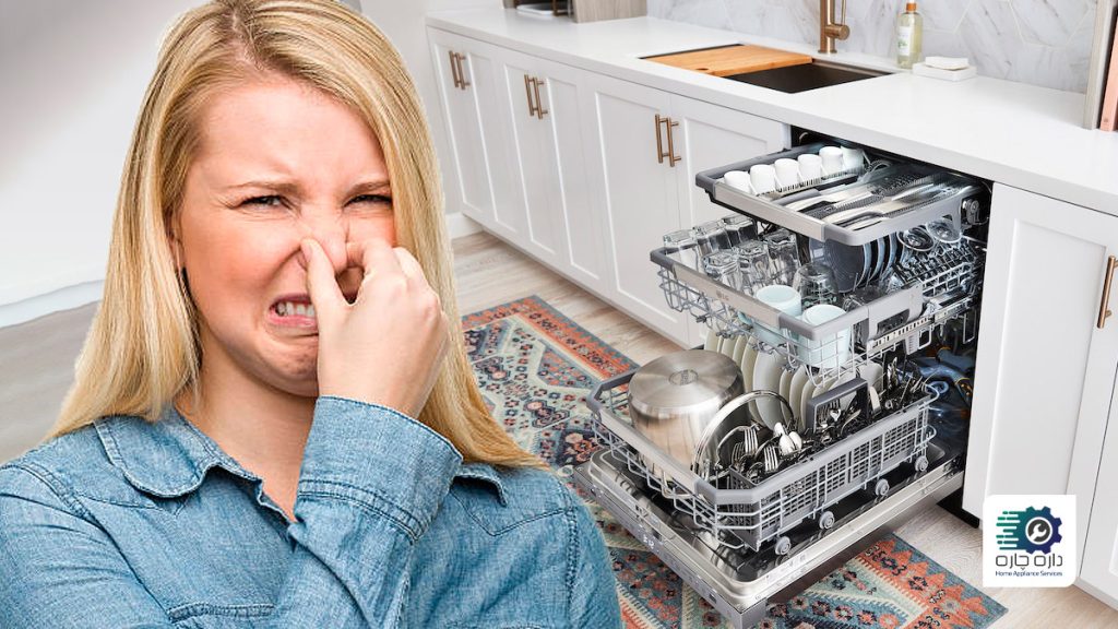 خانمی که به دلیل بوی بد ماشین ظرفشویی ال جی بینی خود را گرفته است